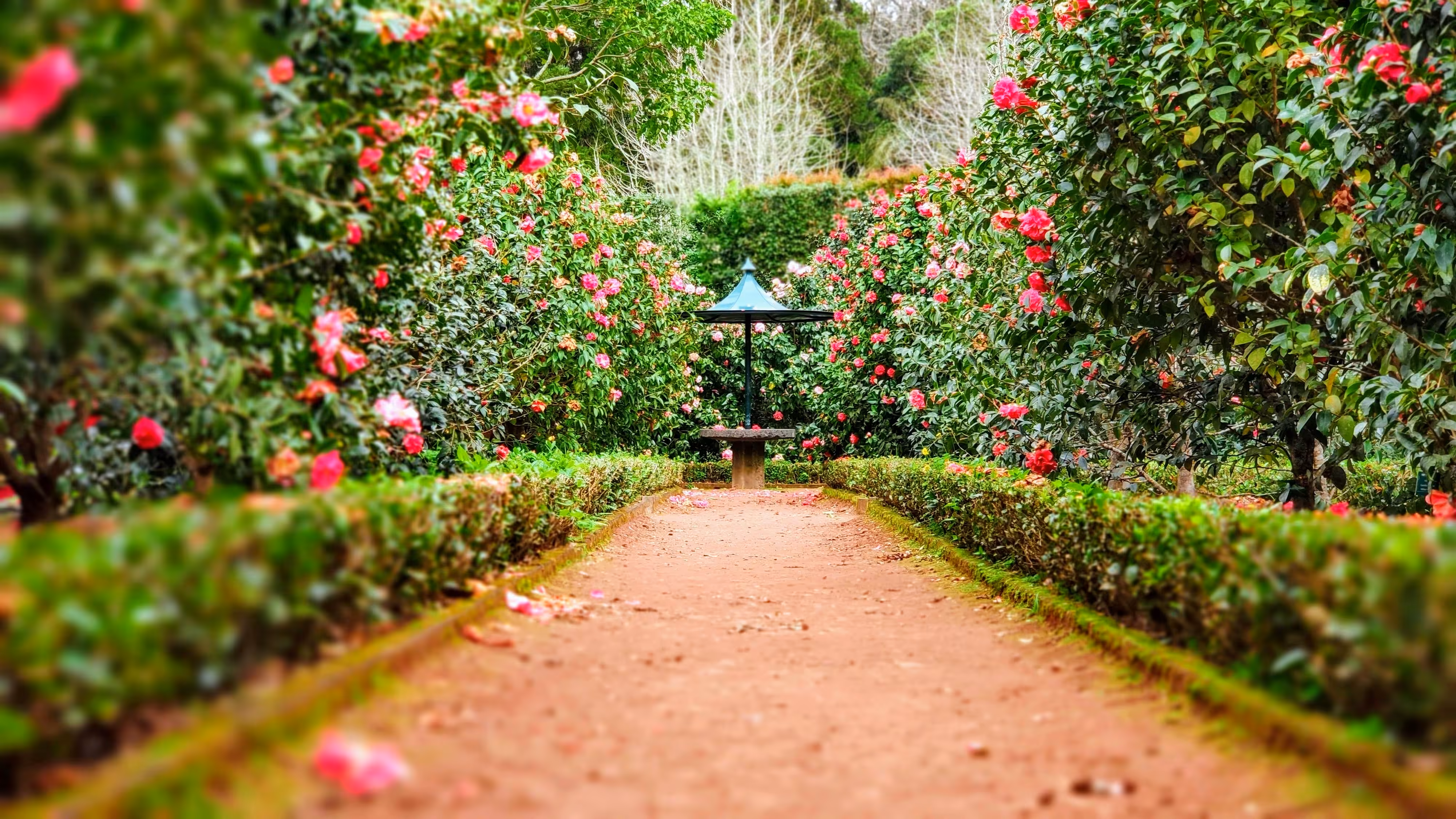 Placeholder image description